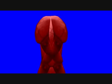 フトスギタケBB.damedame