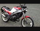 【のほほんTZR125】車体の紹介