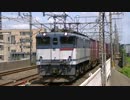 73レ　EF65-2089+コキ＠南流山通過