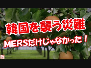 【韓国を襲う災難】 ＭＥＲＳだけじゃなかった！