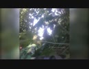 【ウクライナ】撮影者の頭上を銃弾が飛び交う【こわE】