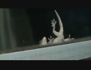 帰ってきたヤモリさん