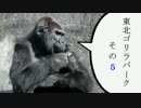 【ヴァンガード】東北ゴリラパーク　その5【対戦動画】