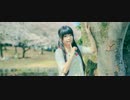 【千本ルル】如月アテンション　踊ってみた【桜と富士山】