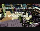 【実況】8人ローラー縛りスカイプトゥーンｐａｒｔ２【りなりあ視点】