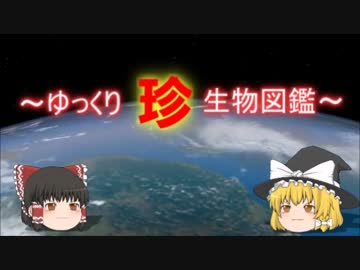 ～ゆっくり　珍　生物図鑑～　新・第3回