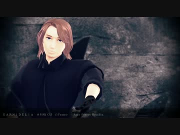 【APヘタリアMMD】自作フランスでPiNK CAT