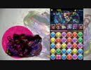 【パズドラ】ソニア=グラン降臨 オオクニヌシ ノーコン