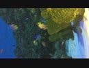【試し投稿】【iPhone6】水族館の映像
