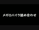 【時間延長】メガロパイク詰め合わせ【ﾊﾟﾈｪｽﾓｲｻﾝｸｽ】