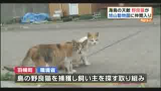 天売島の野良猫が旭山動物園へ