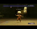 FF11　タルタルの胴が修正される前に記録として残しておいた
