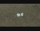 [FF14]坦々と実況プレイ Part167