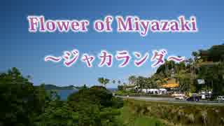 Flower of Miyazaki ～ジャカランダ～