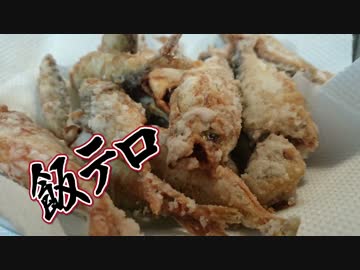 【魚釣り】お魚１００種　釣れるかな？【実況】 part 38