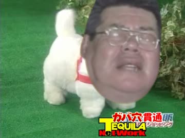 ガバ穴貫通販　サンダーロボ「ダディー」