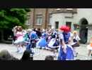 【東大生が】2015五月祭⑨東大踊々夢【踊ってみた】Part3