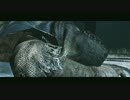 PS4版ダークソウル２で画質テスト