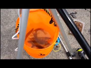 【苫小牧】　北海釣り日記　part07　【ギンポ釣り】