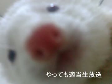 やってもの適当生放送アーカイブ動画　その５