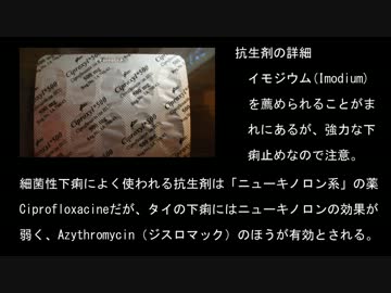 【旅行】シンヤ特快2015 ラオス・タイ編 特別編 病気対策【解説】