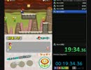NEWスーパーマリオブラザーズDS　RTA 27:19
