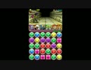 ギニュー特選隊！【アンケート7,8超級】サブ非育成　　パズドラ