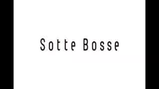 【作業用BGM】　Sotte Bosse    【適当に10曲】