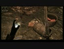 【Skyrim】スカイリム地味プレイ#25【字幕】