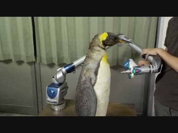 Blue Laser Line Probe  FARO　ペンギン3Dスキャン