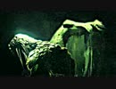 【実況】バイオハザード６【エイダ編】第１１回