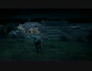 “Lost_Dog”