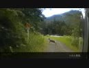【バイク】週末ツーリング019_林道二子線