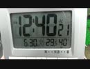 亀の観察記録 34日目
