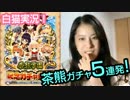 【白猫プロジェクト】茶熊ガチャ５連発！最後だからフラン当てたいっ！
