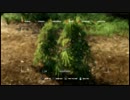 【farcry3】ファークライ３で英語の勉強。難易度最ムズ【プレイ動画】005