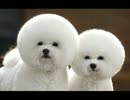 ガバガバ時間
