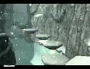 【実況】人生初ヌンチャクで遊ぶメトロイドプライム-16【wii版】