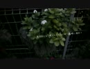 「造花の距離感」を歌ってみた【Tobi.】