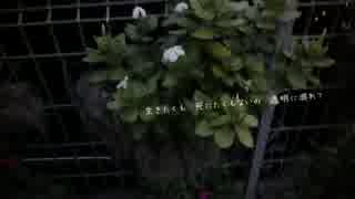 「造花の距離感」を歌ってみた【Tobi.】