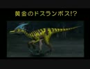 【MHF-G】大剣戦記G17：黄金のドスランポス【実況】