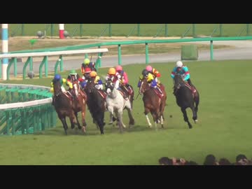 【現地撮影】第63回阪神大賞典・ゴールドシップ