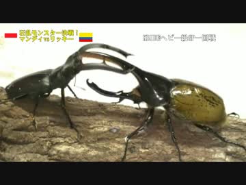 【ヘビー級グランプリ】KRIDE.30【開幕戦】