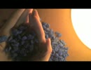 ハッカASMR 青い色が美しいザクザク☆ジャリジャリ石の音フェチ動画＊ささやき声・バイノーラル録音