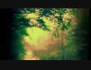 【緑咲香澄】嘆きの杜【オリジナル曲】