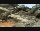 【実況＆ラジオ】スペランカートーーク（第179回）