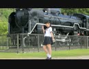 【あちり】恋の2-4-11踊ってみた【2周年】