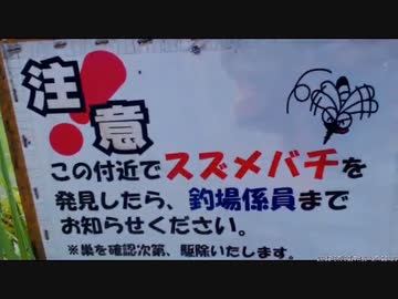 【外配信】「ムーミンパーク予定地宮沢湖畔」他周辺散歩 Part.08 2015/07/02