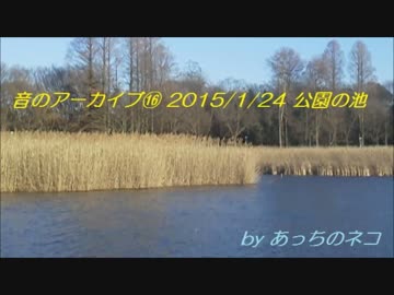 音のアーカイブ⑯ 2015/1/24 公園の池