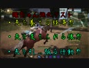 【ゆっくり実況】俺の嫁が主役になるまで【黒い砂漠】Part4